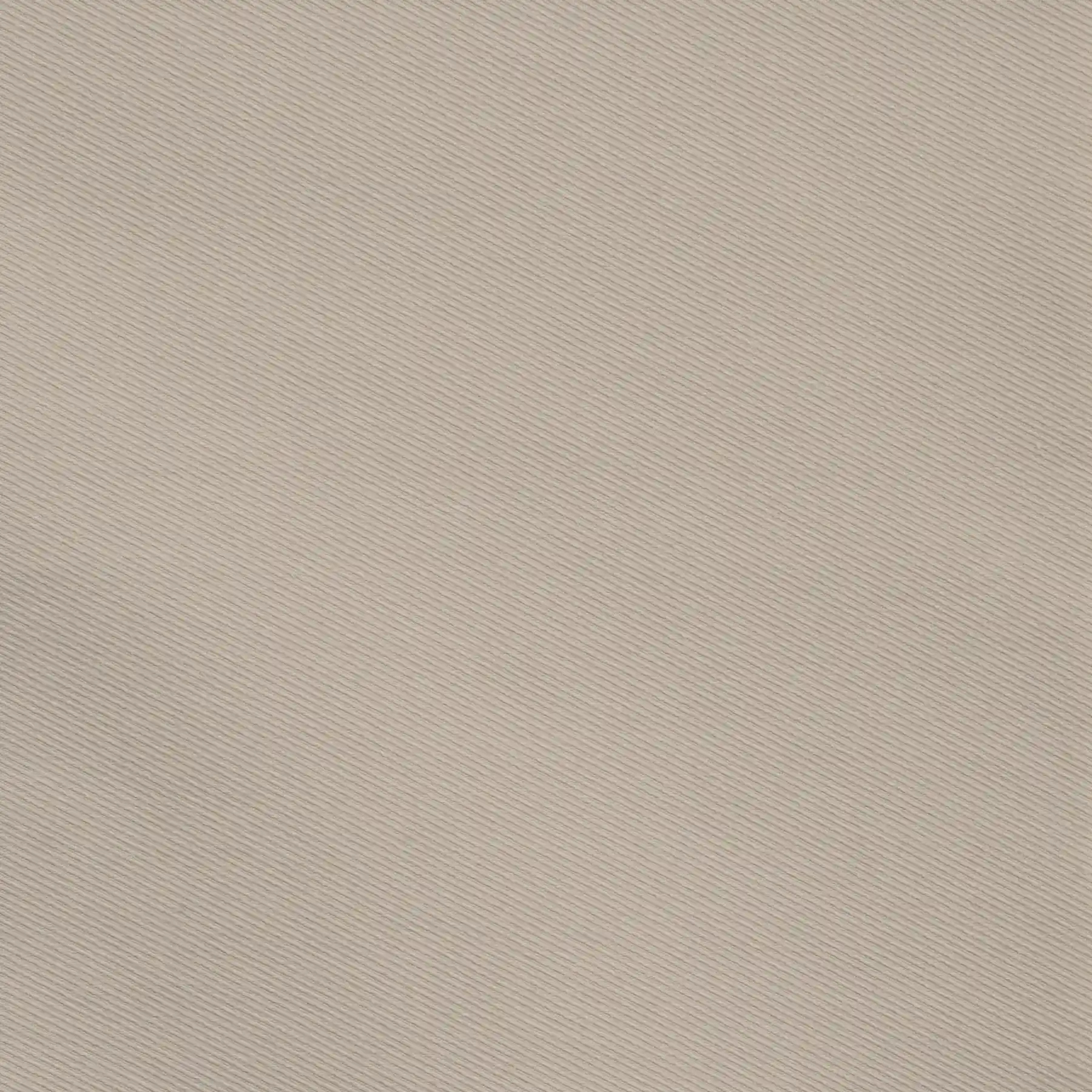 003 Ivory